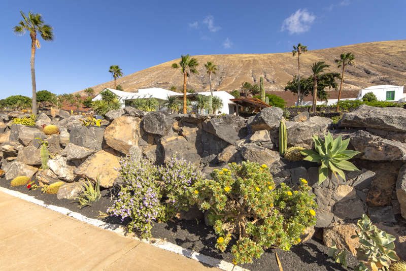 Villa Liquen - lanzarote holiday villas