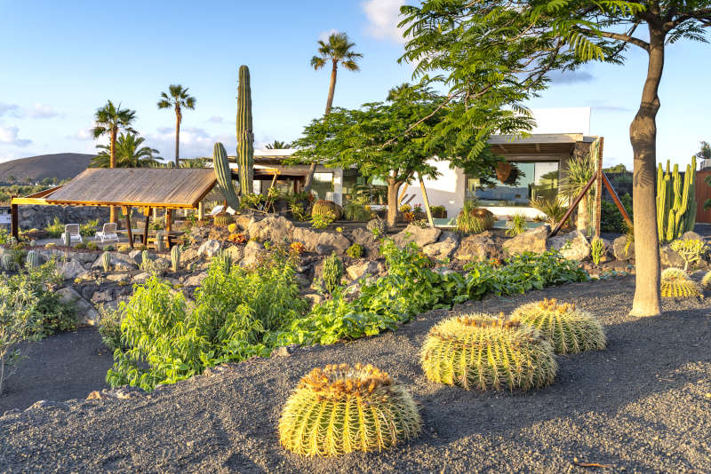 Villa Liquen - villas in lanzarote