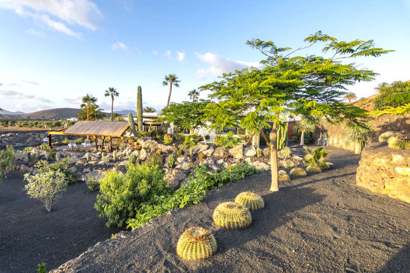 Villa Liquen - holiday villas in lanzarote