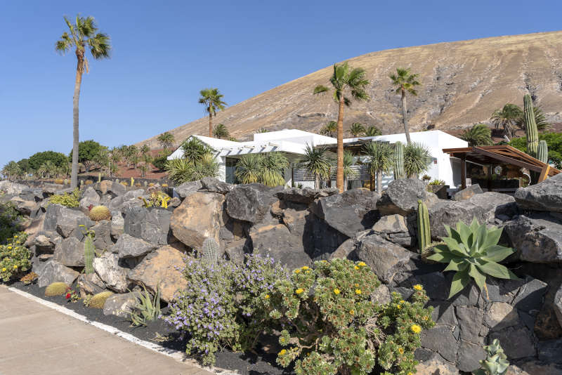 Villa Liquen - private villas in lanzarote