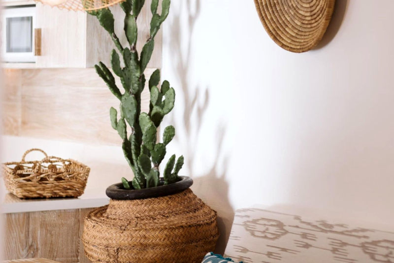 Villa Lily - villa rental lanzarote